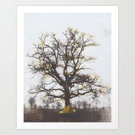 The alchemy of the tree Art Print