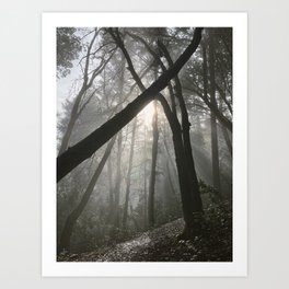 and women like hunting witches too / into the forest x / saratoga, california Art Print