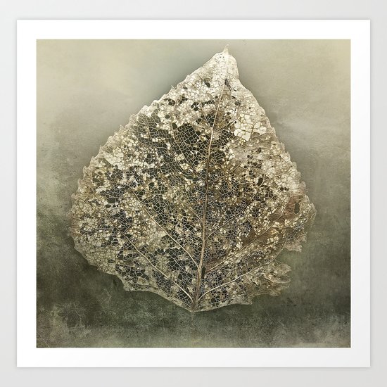 Old gold Art Print