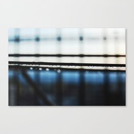 The visual poetry of rain | Water droplets race and Petrichor | Simple Photography Canvas Print
