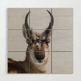 Scenes Of Nature One Wood Wall Art