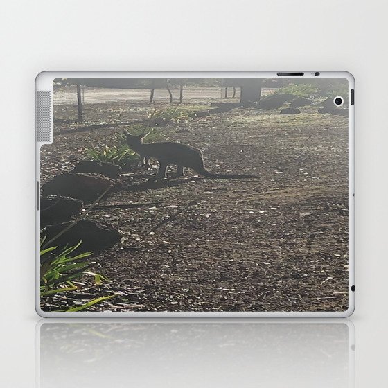 Donnelly River Laptop & iPad Skin