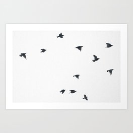 Ravens Birds in Black and White Art Print