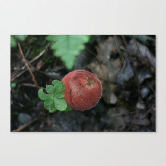 Smoky Mountain Mushroom Canvas Print