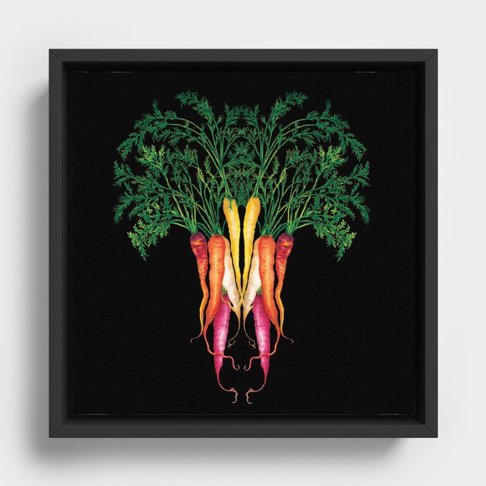 Food illustration - A beautiful bunch of carrots  Framed Canvas