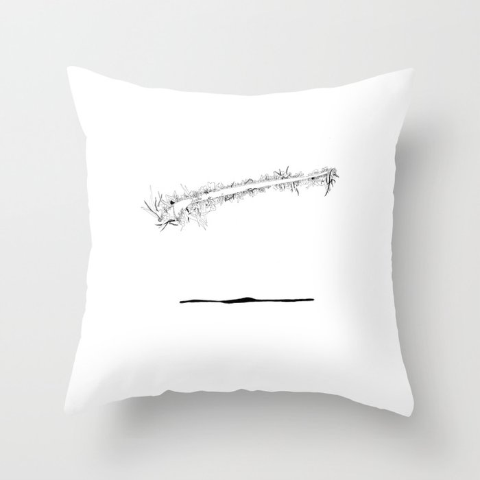 Where are the stagnant waters 4 Throw Pillow