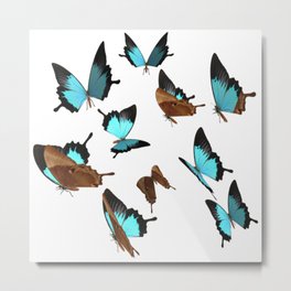 Butterfly Metal Print | Abstract, Animal 
