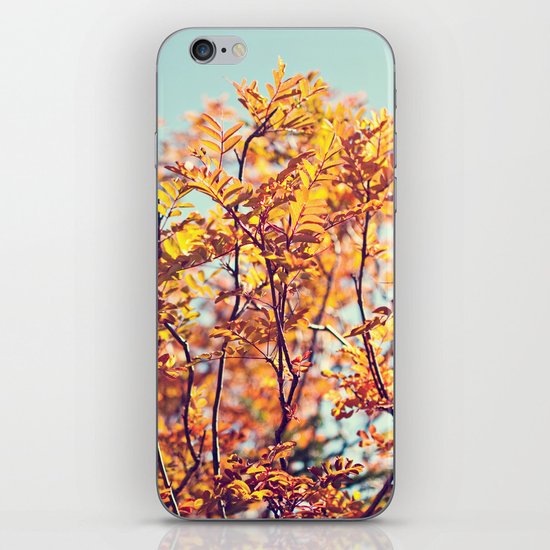 Mountain Fall iPhone & iPod Skin
