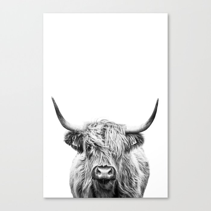 Highland Cow Print, Farmhouse Decor, Black and White, Rustic Cow Photo, Printable Digital Download, Canvas Print