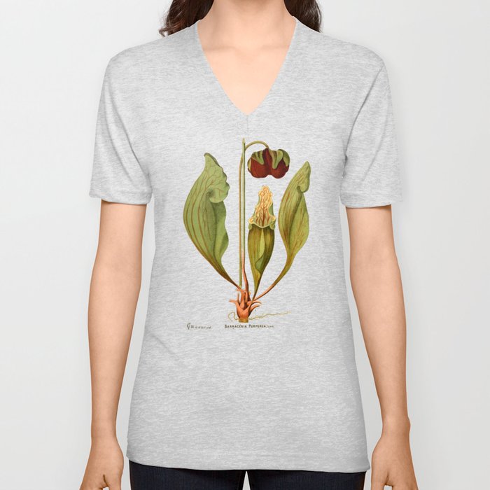 Sarracenia Purpurea Vintage Illustration  V Neck T Shirt