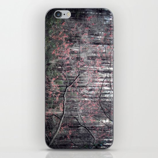Blooms Like Lightning iPhone & iPod Skin