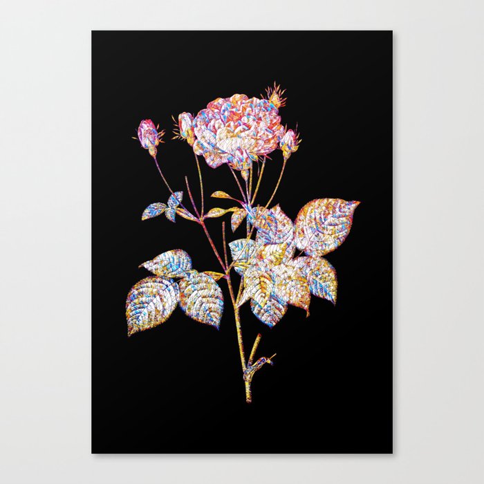 Floral Pink French Roses Mosaic on Black Canvas Print