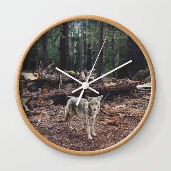 Injured Coyote Wall Clock
