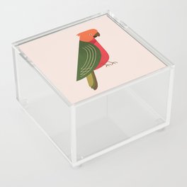 Whimsy Australian King Parrot Acrylic Box