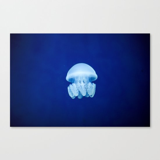 jellyfish Canvas Print