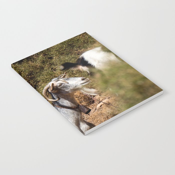 Greek Goat on the Hill | Green Animal Photograph | Cute & Fuzzy Mountain Goat | Travel Photography in Greece Notebook
