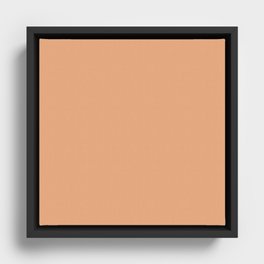 Apricot Cream Framed Canvas