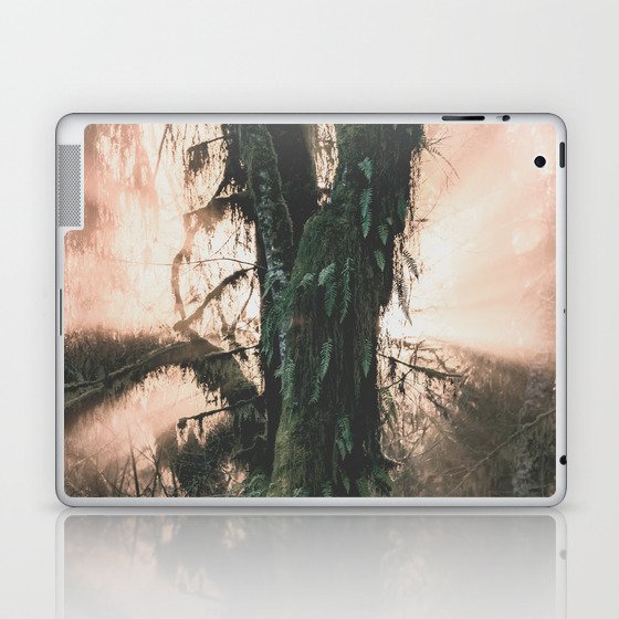 Rainforest Revelation Laptop & iPad Skin