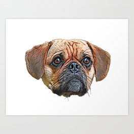 Puggle Beagle Pug designer breeders aim healthy companion Art Print