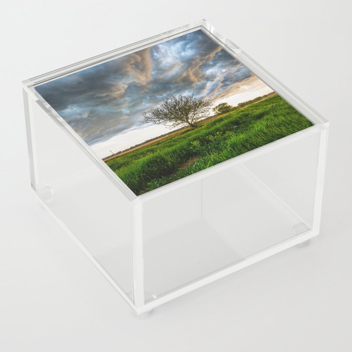 Stormy Day on the Plains - Tree Under Stormy Sky on Spring Day on the Plains of Kansas Acrylic Box