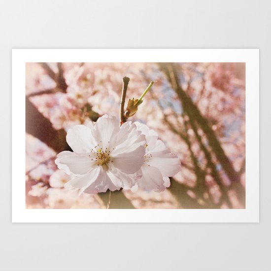 To bear Fruit Art Print