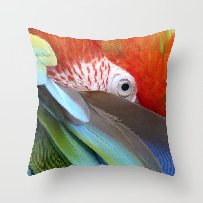 Feathered Friends II Throw Pillow