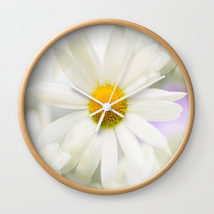 daisy flower bouquet pastel