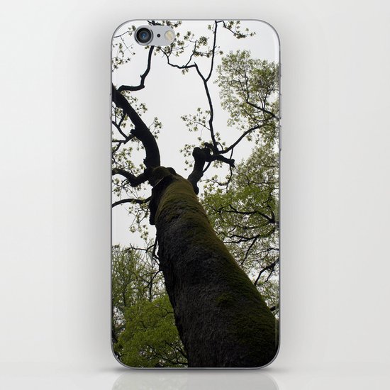 secret garden 18 iPhone & iPod Skin