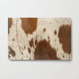 Pattern of a Longhorn bull cowhide. Metal Print | Nature, Design, Skin, Leather, White, Photo, Animal, Hide, Detail, Pattern 