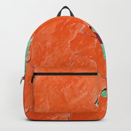 Texture background of bright orange peeling paint on the old rough surface  Backpack