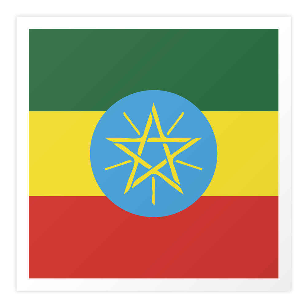 Ethiopia Flag Emblem Art Print by textures