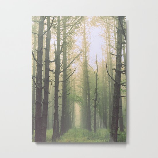 Obscurity Metal Print