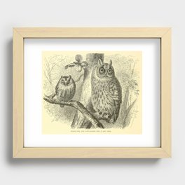 Scops owl and Long-eared owl (1893) Recessed Framed Print