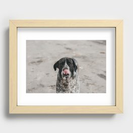 dog tongue Recessed Framed Print