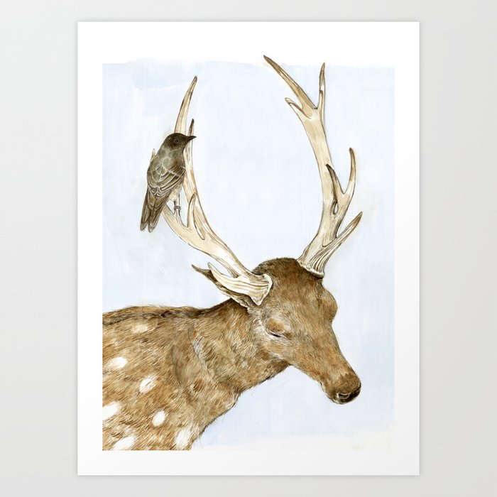 Deer and Bird Art Print