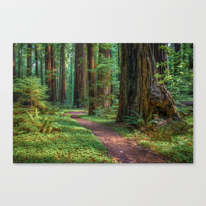 Canvas Print