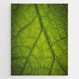 Macro Green leaf 7 Jigsaw Puzzle
