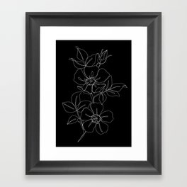 Botanical illustration one line drawing - Rose Black Framed Art Print