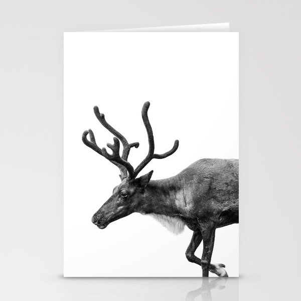 rudolf antlers