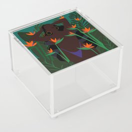 Bird of Paradise III Acrylic Box