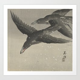 Crows in the snow Art Print