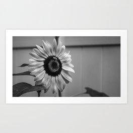 When Is Grey In The Bloom Art Print