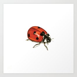 Ladybug Beetle Art Print