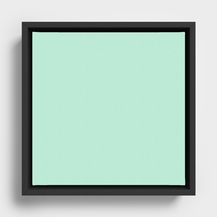 Framed Canvas