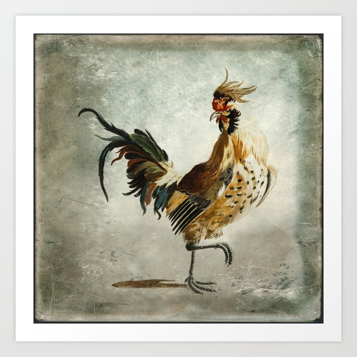 A rooster Art Print