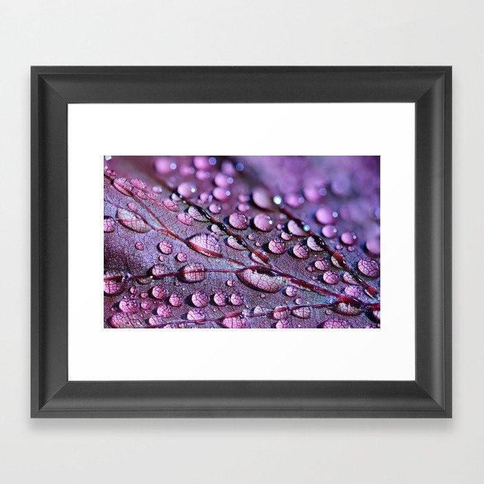 Drops in Shades of Purple Framed Art Print