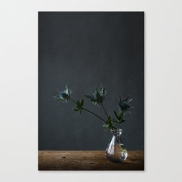 Fine-art photography | floral | blue flowers | photo print | Thistles Canvas Print