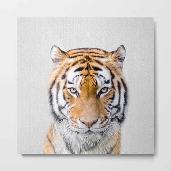 Tiger - Colorful Metal Print