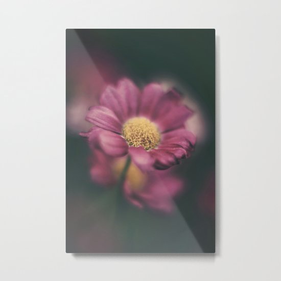 Daisy' Metal Print