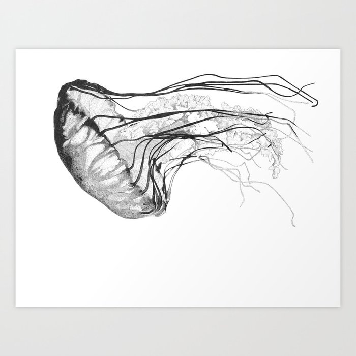 Medusozoa Art Print